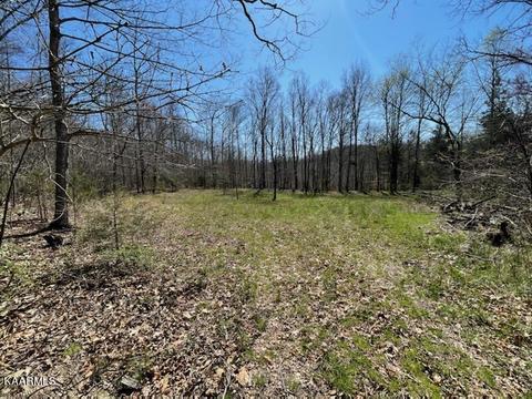 1902 Willow Tree Rd, Ewing, VA 24248 photo 26