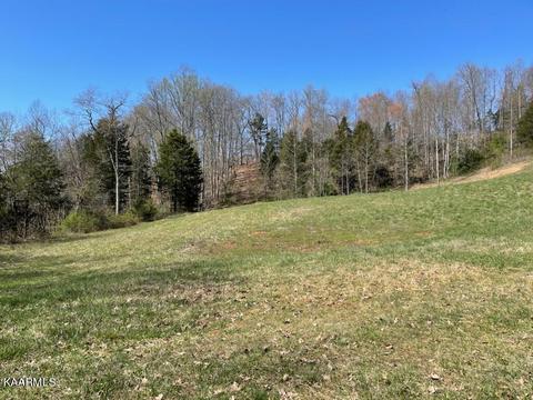 1902 Willow Tree Rd, Ewing, VA 24248 photo 3