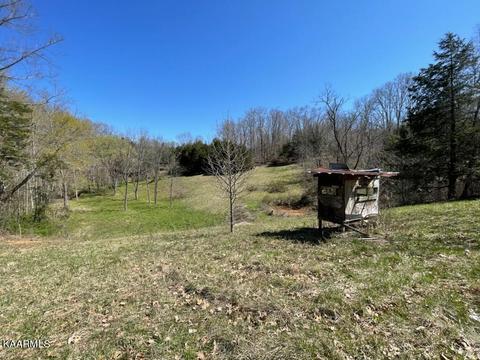 1902 Willow Tree Rd, Ewing, VA 24248 photo 24