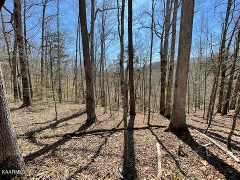 1902 Willow Tree Rd, Ewing, VA 24248 photo 12