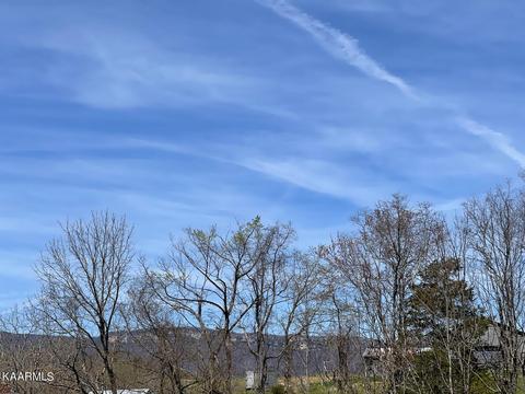 1902 Willow Tree Rd, Ewing, VA 24248 photo 19