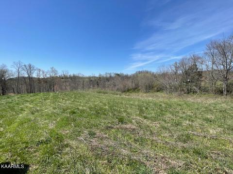 1902 Willow Tree Rd, Ewing, VA 24248 photo 23