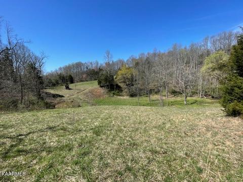 1902 Willow Tree Rd, Ewing, VA 24248 photo 15