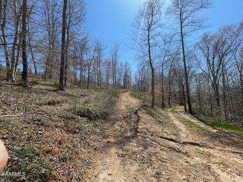 1902 Willow Tree Rd, Ewing, VA 24248 photo 2