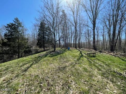 1902 Willow Tree Rd, Ewing, VA 24248 photo 11