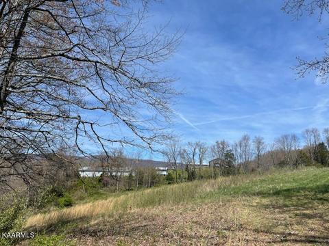 1902 Willow Tree Rd, Ewing, VA 24248 photo 7