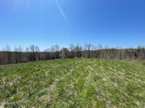 1902 Willow Tree Rd, Ewing, VA 24248 photo 4