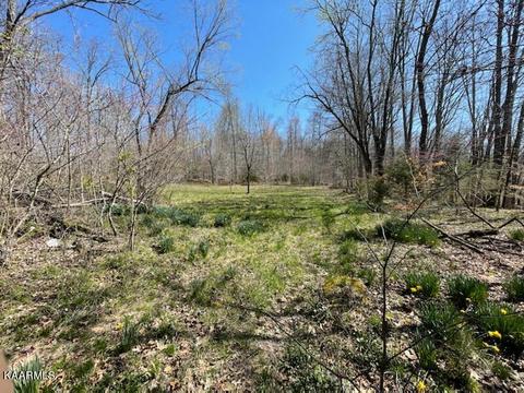 1902 Willow Tree Rd, Ewing, VA 24248 photo 10