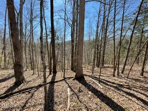 1902 Willow Tree Rd, Ewing, VA 24248 photo 14