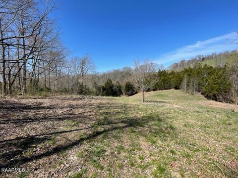1902 Willow Tree Rd, Ewing, VA 24248 photo 20