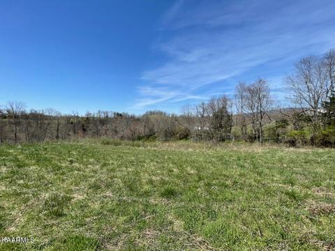 1902 Willow Tree Rd, Ewing, VA 24248 photo 22