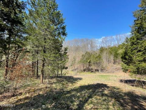 1902 Willow Tree Rd, Ewing, VA 24248 photo 17