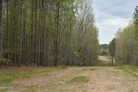 Newton Lane, Crossville, TN 38572