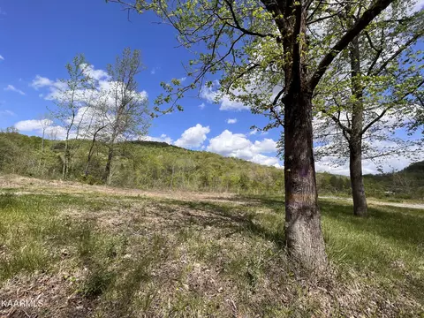 Old Tracey Branch Rd, Clairfield, TN 37715