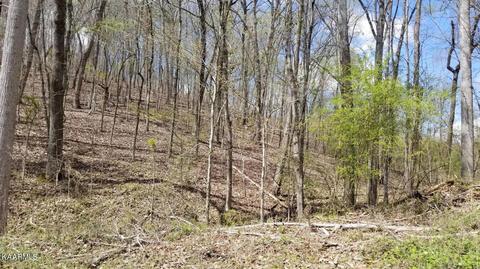 lot286 Maple Dr, Spring City, TN 37381