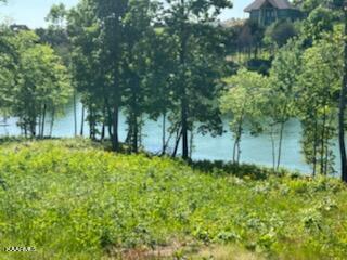 1144 Bower Ct, Lenoir City, TN 37772