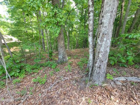 130 Pineridge Loop, Fairfield Glade, TN 38558