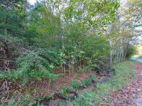 22 31 Acres Gunter Corner Rd, Parrottsville, TN 37843