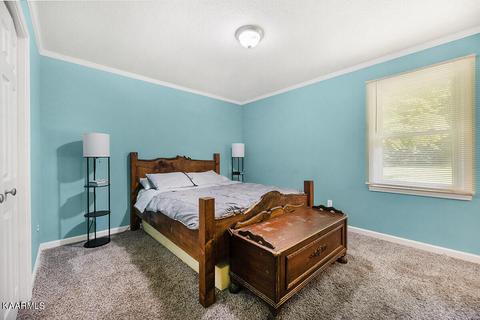 170 White Loop Rd, Clinton, TN 37716 photo 13