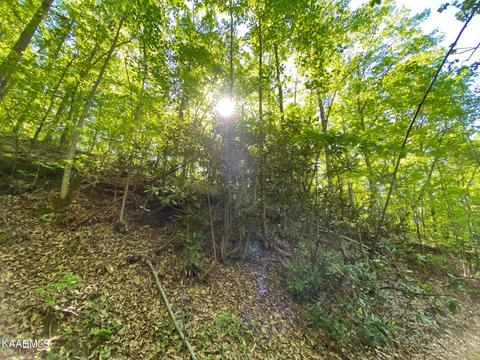 Lot 41 Trailer Park Lane, Sevierville, TN 37876
