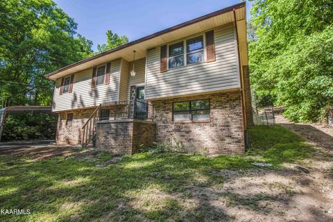 147 Crisman Rd, Heiskell, TN 37754 photo 3