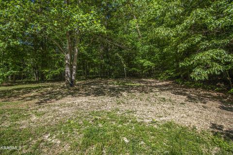 147 Crisman Rd, Heiskell, TN 37754 photo 19