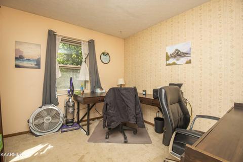 147 Crisman Rd, Heiskell, TN 37754 photo 16