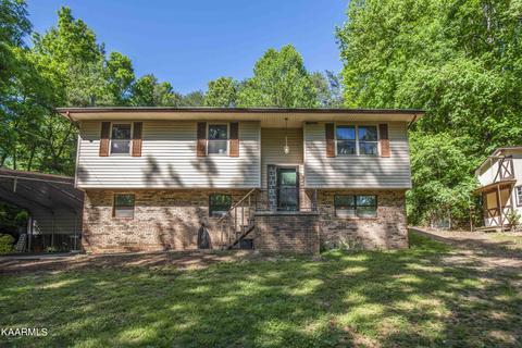 147 Crisman Rd, Heiskell, TN 37754 photo 1