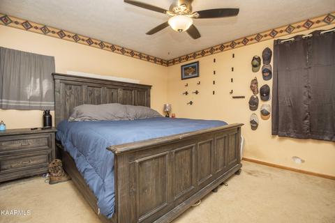 147 Crisman Rd, Heiskell, TN 37754 photo 11