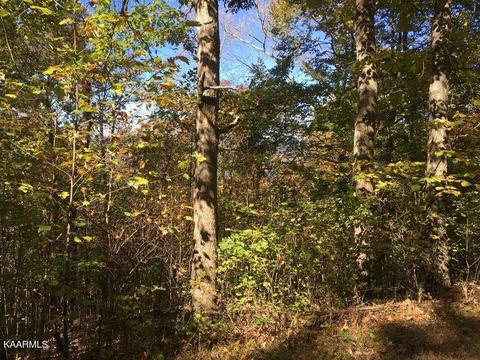 62 Overlook Trail Tr, Maynardville, TN 37807