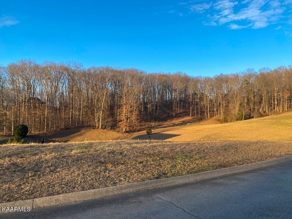 6343 Turners Pond Tr