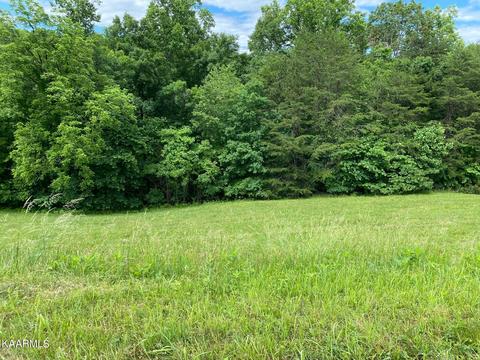 lot257 Marble Point Way, New Tazewell, TN 37825