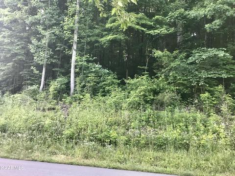 0 Johnson Valley Rd, Philadelphia, TN 37846