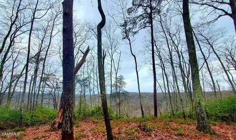 Tanner Drive, Monterey, TN 38574