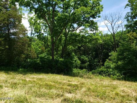 2226 Haag Store Rd, Talbott, TN 37877 photo 5