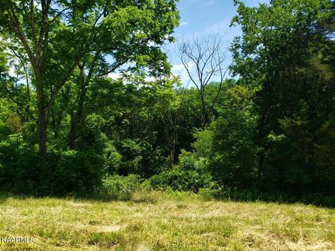 2226 Haag Store Rd, Talbott, TN 37877 photo 3