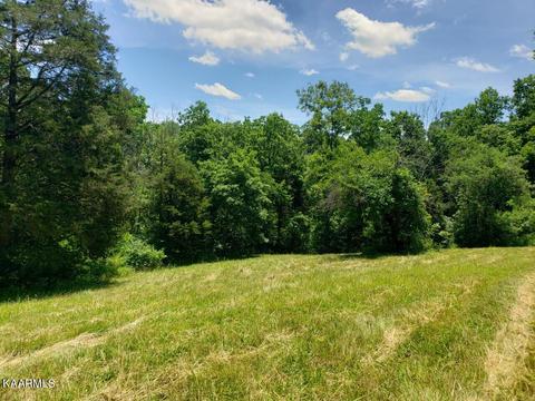 2226 Haag Store Rd, Talbott, TN 37877 photo 6