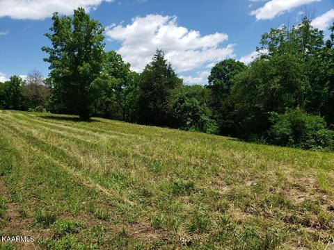 2226 Haag Store Rd, Talbott, TN 37877 photo 2