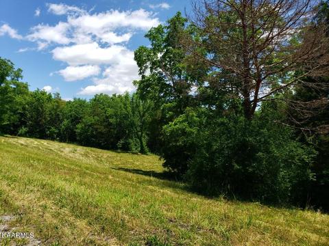 2226 Haag Store Rd, Talbott, TN 37877 photo 4