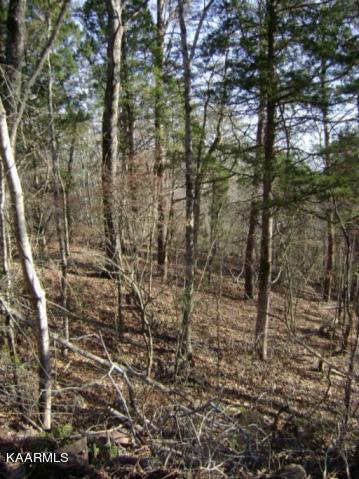 Tellico Camp Rd, Madisonville, TN 37354
