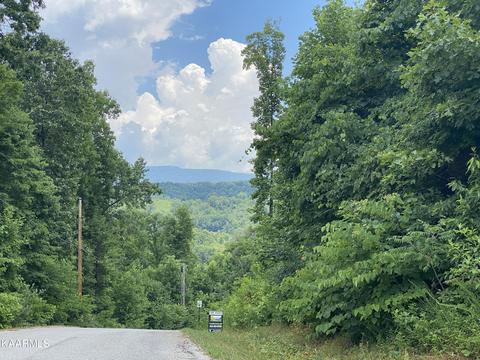 110 Harness Lane, Speedwell, TN 37870
