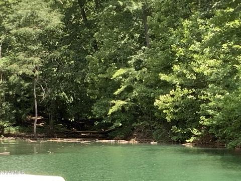 116 Lakeview Lane, Sharps Chapel, TN 37866