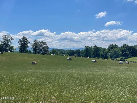 Lot 4 Trigonia Rd, Maryville, TN 37801