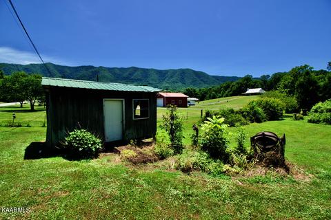 924 Cavern Rd, Townsend, TN 37882 photo 29