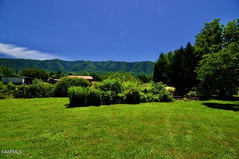 924 Cavern Rd, Townsend, TN 37882 photo 32