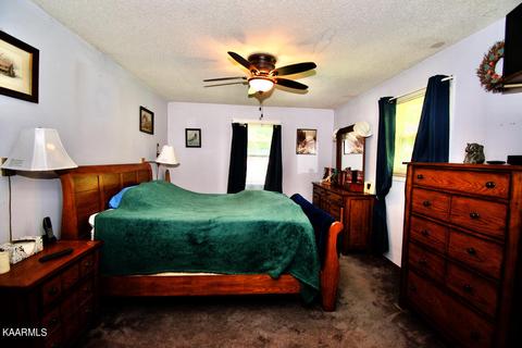 924 Cavern Rd, Townsend, TN 37882 photo 11
