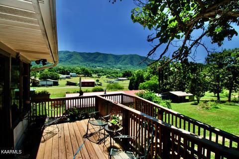 924 Cavern Rd, Townsend, TN 37882 photo 26