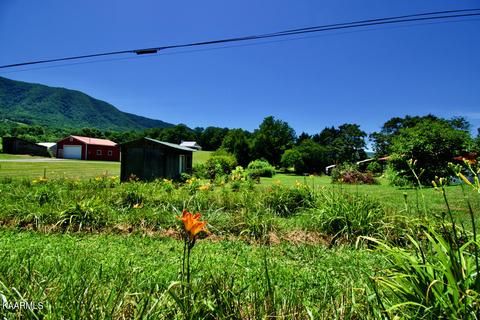 924 Cavern Rd, Townsend, TN 37882 photo 28