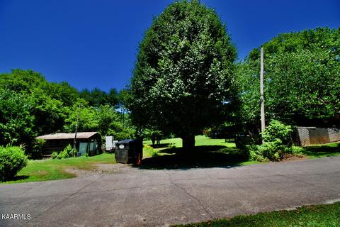 924 Cavern Rd, Townsend, TN 37882 photo 37