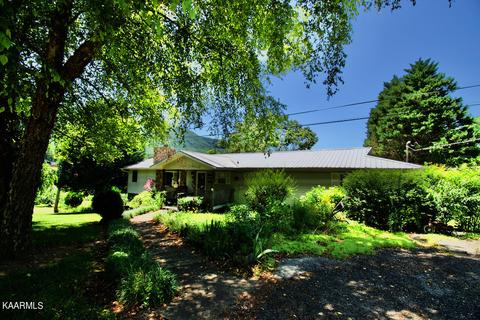 924 Cavern Rd, Townsend, TN 37882 photo 1